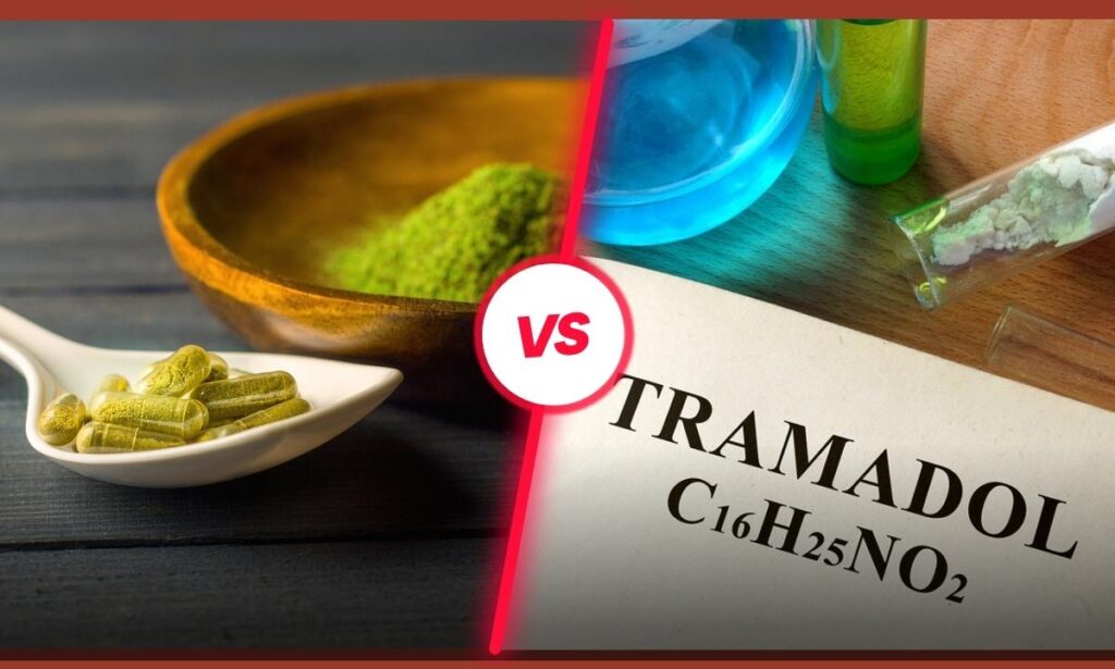 Kratom vs. Tramadol: Understanding Their Differences, Risks, and Physiological Effects